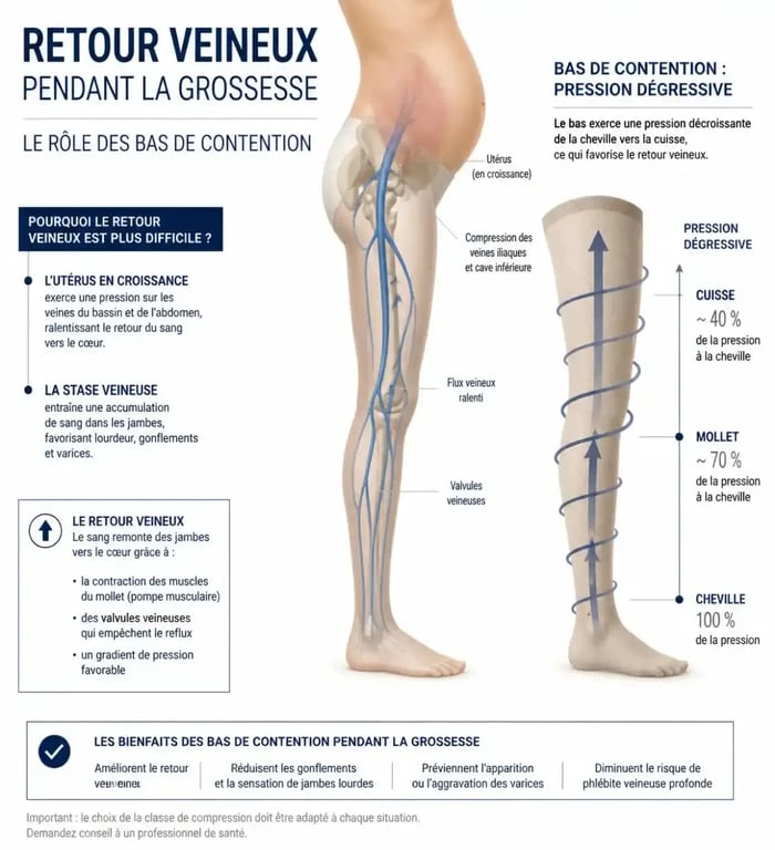 Schéma du fonctionnement des bas de contention grossesse pour le retour veineux